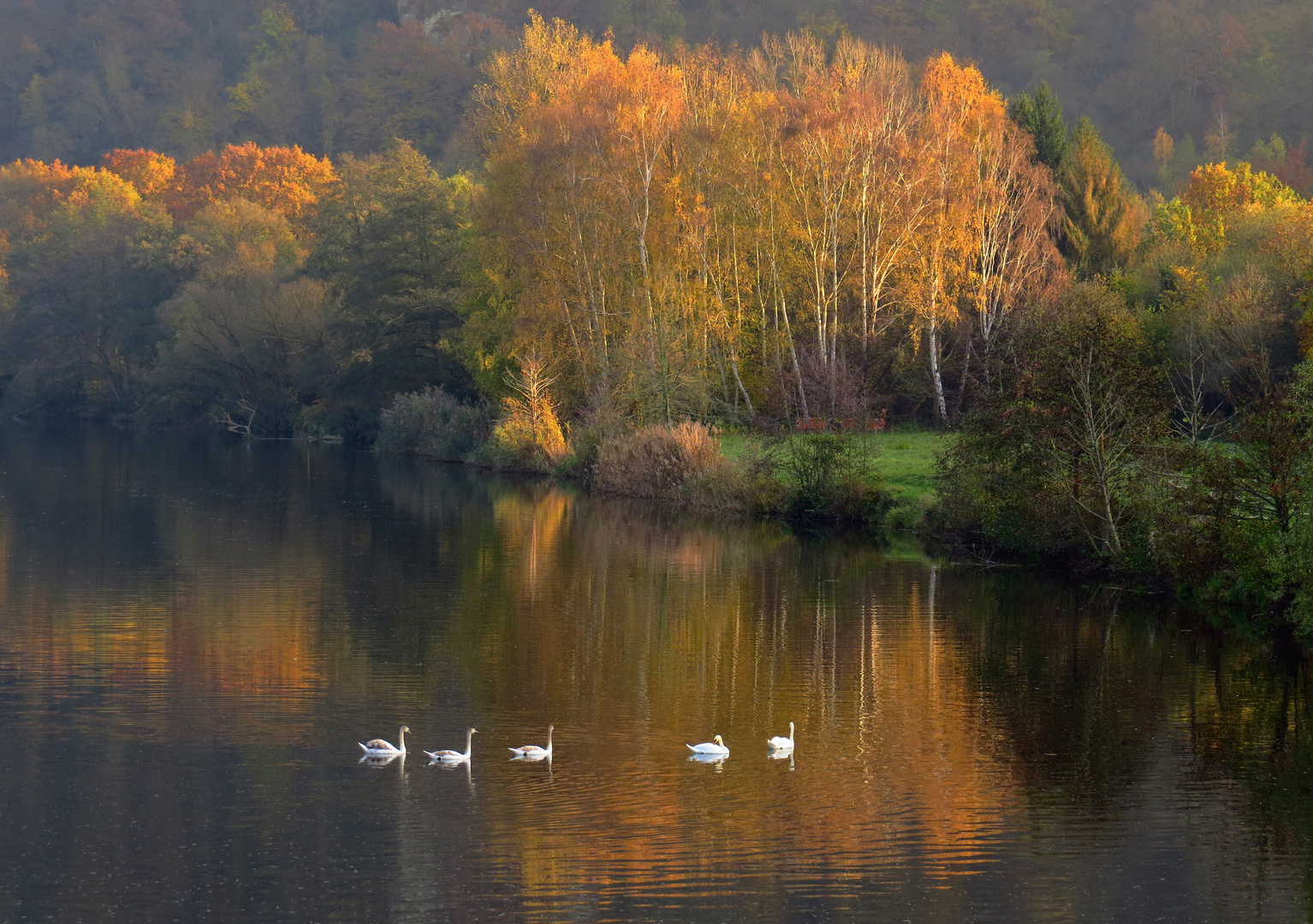 Einfach Herbst