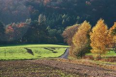 Einfach Herbst