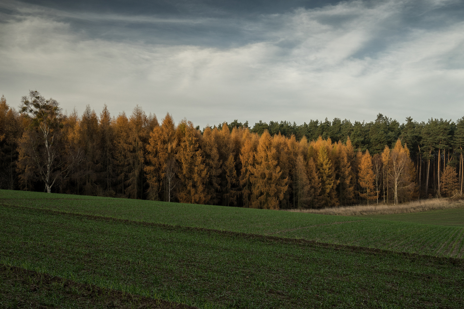 einfach... Herbst