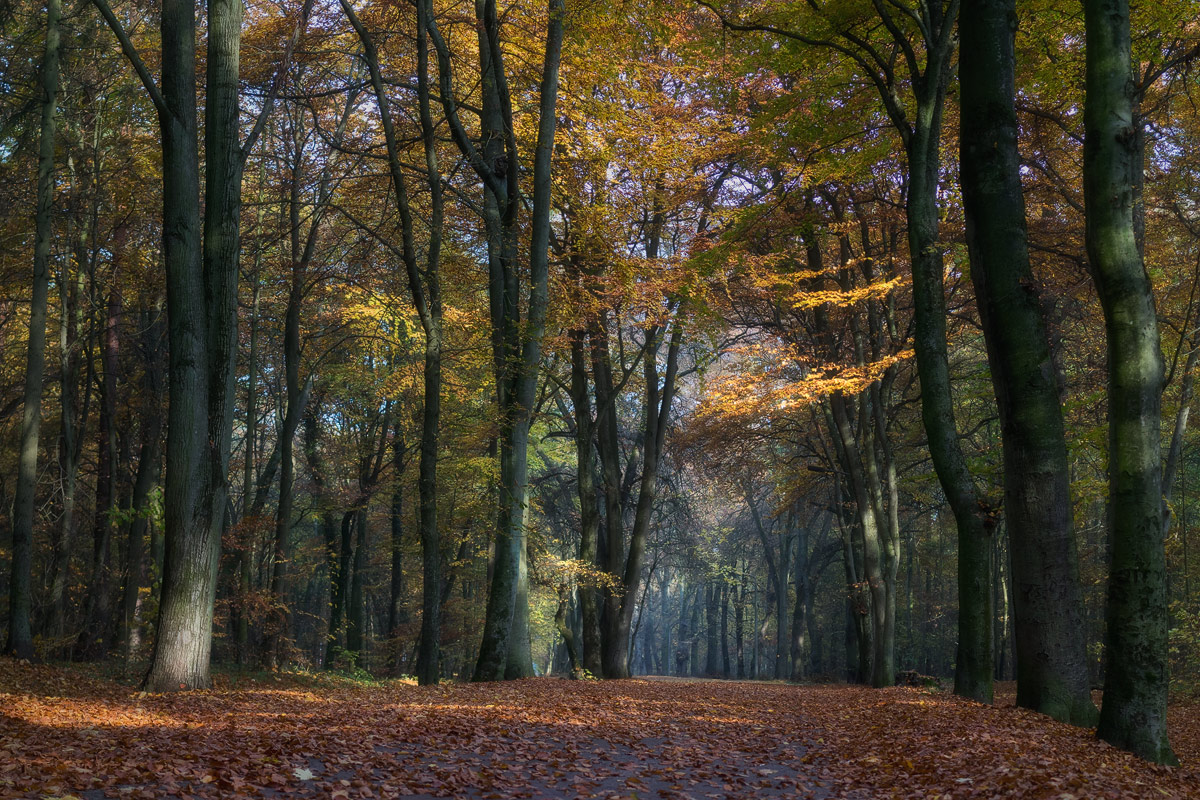 einfach Herbst