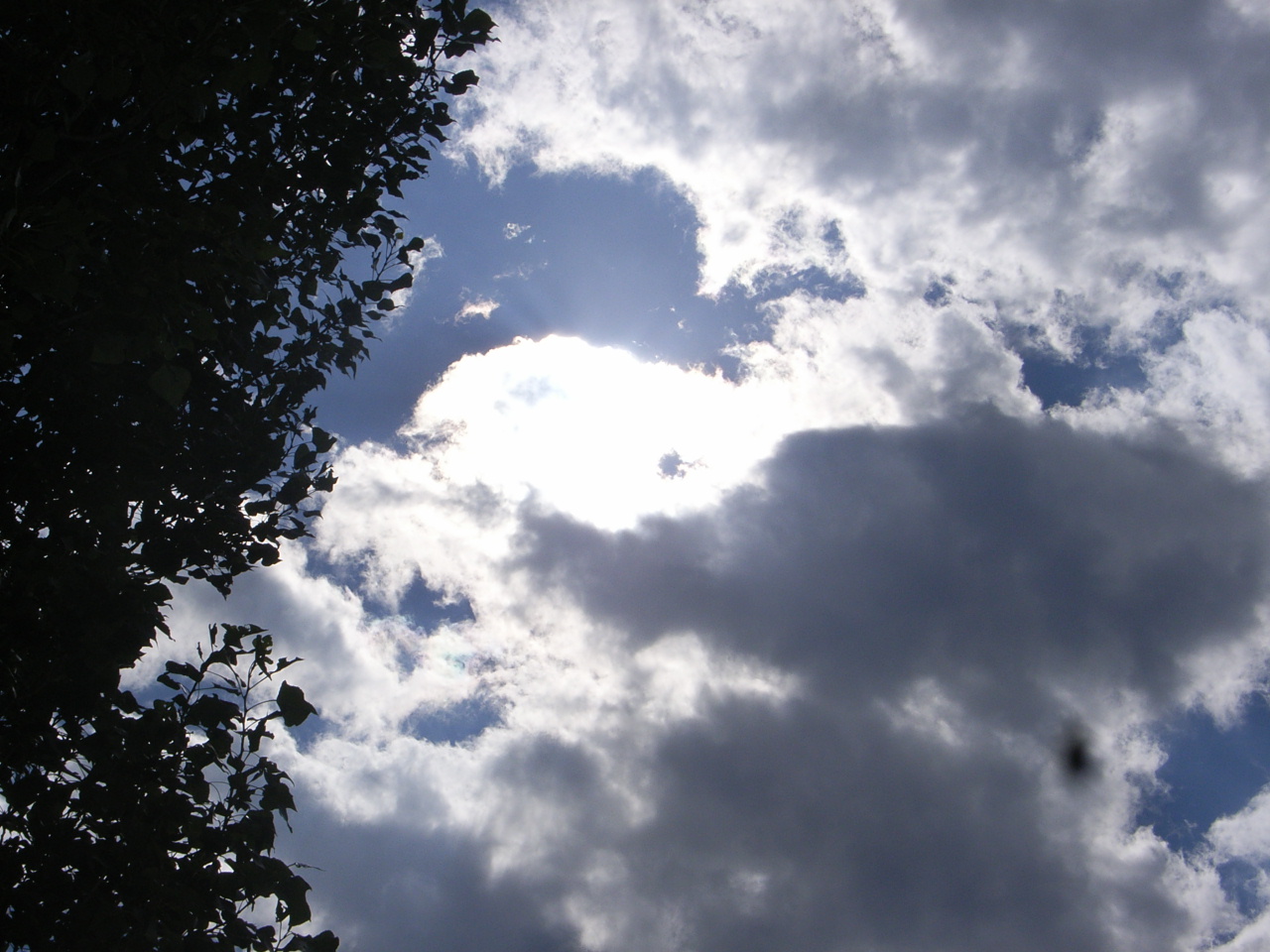 Einfach hoch zu den Wolken schauen & traeumen.