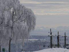 Einfach kalt