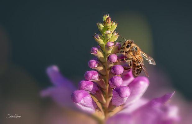 Einfach mal abhängen