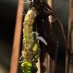 einfach mal abhängen