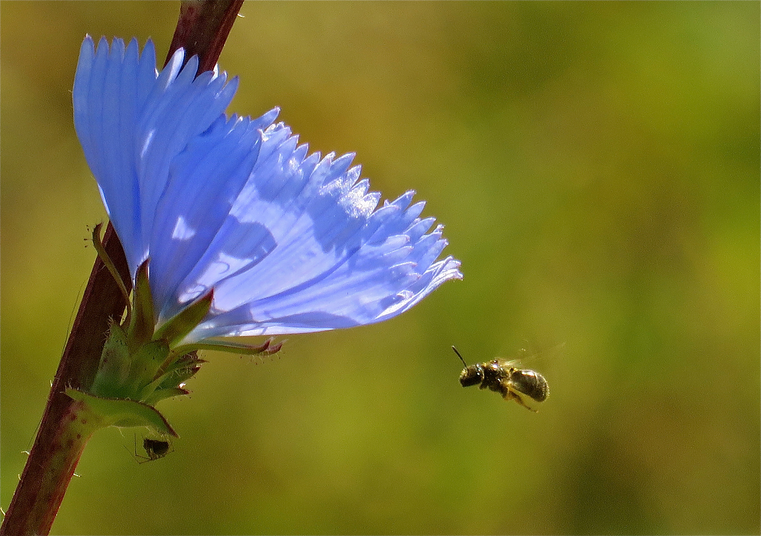 .. einfach mal blau machen !!...