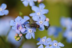 Einfach mal blau machen!