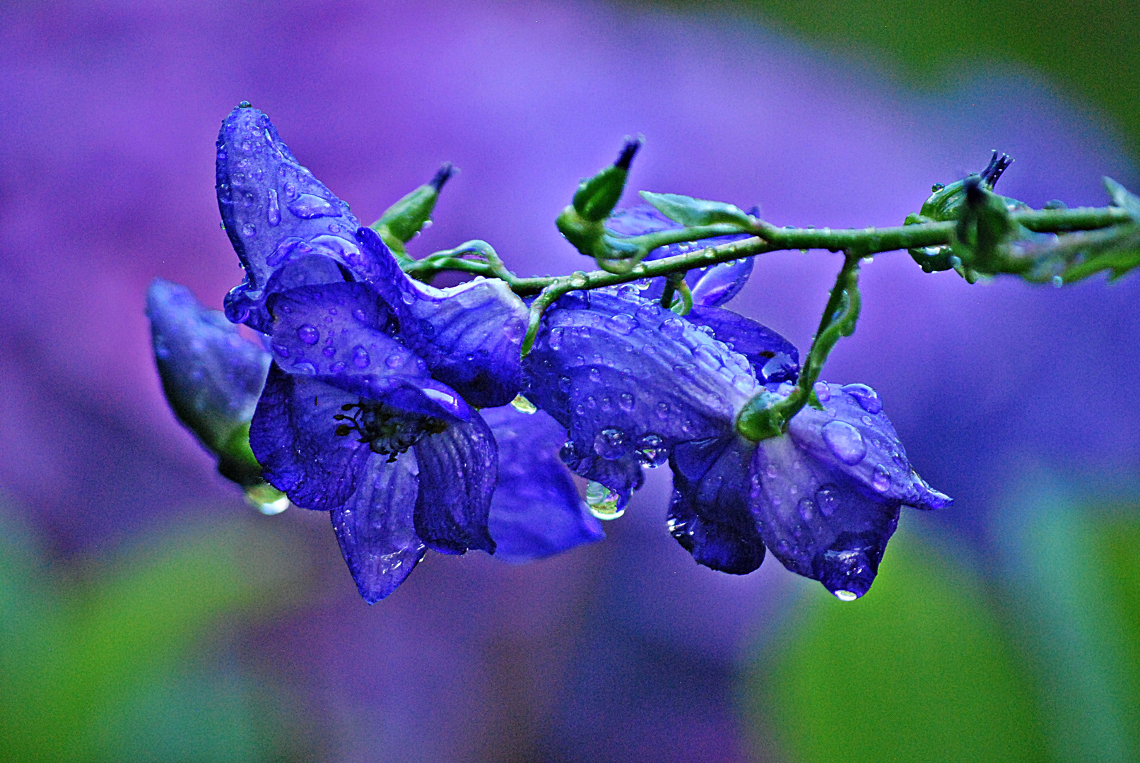 Einfach mal blaumachen, ...