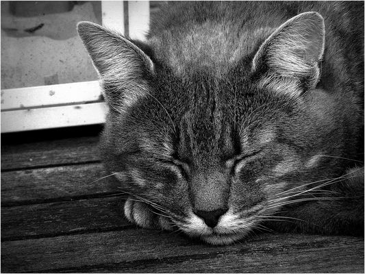 Einfach mal blaumachen