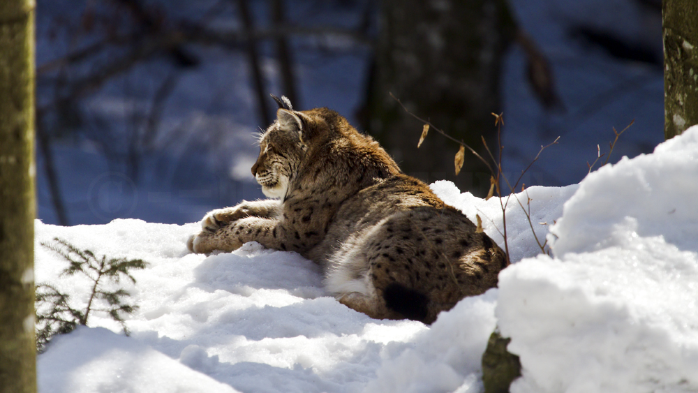 Einfach mal chillen