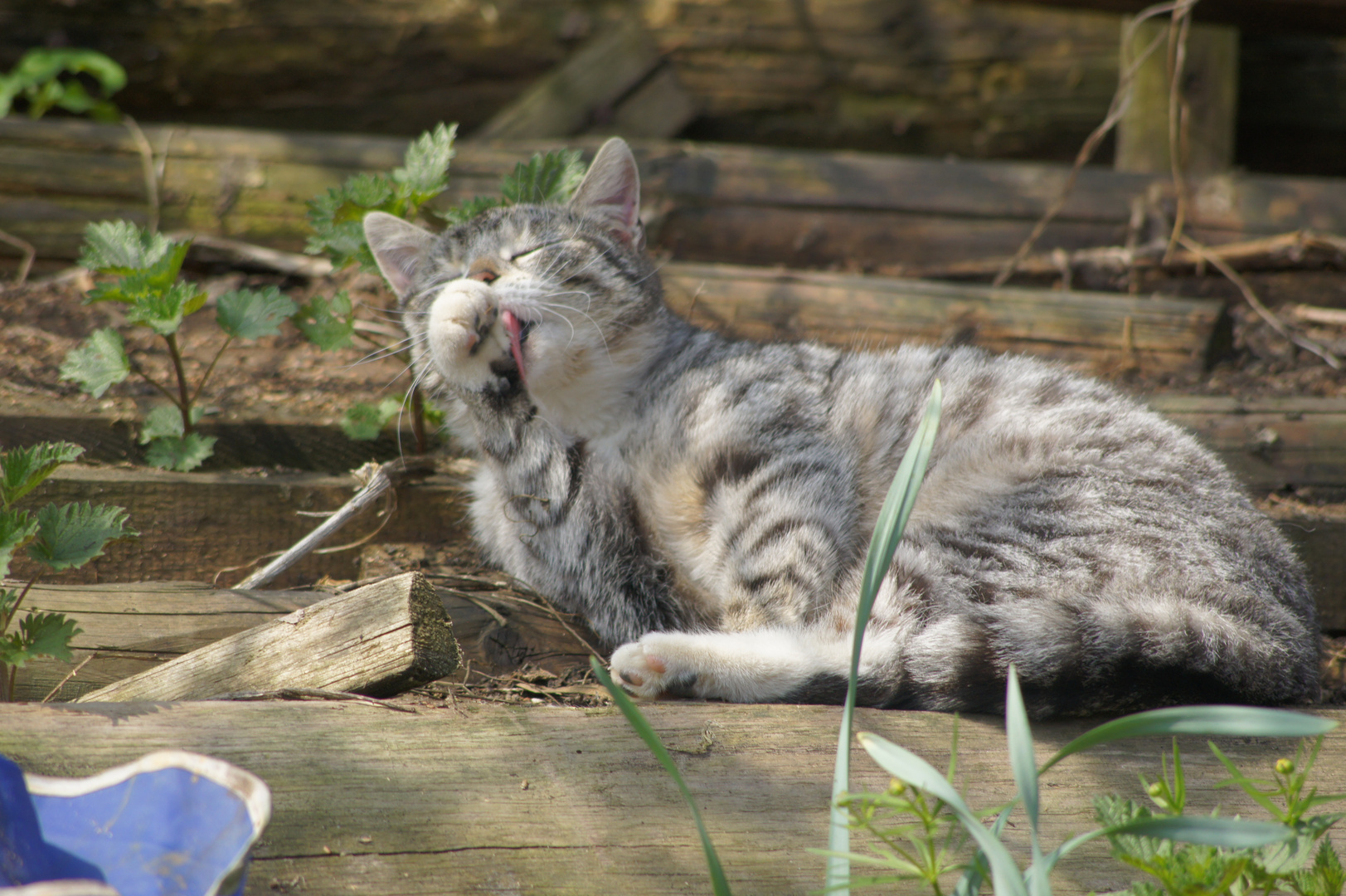 Einfach mal das Wetter genießen :)