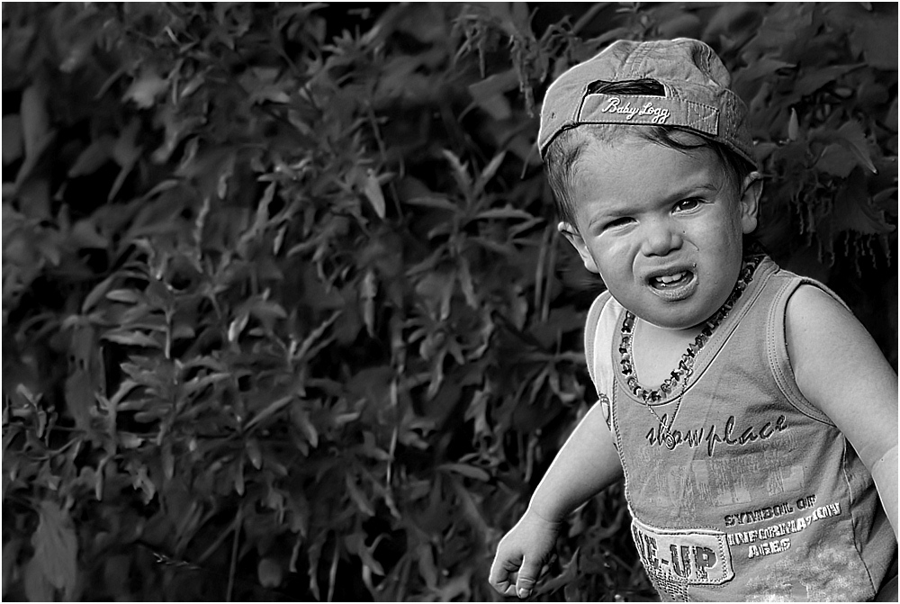 Download Dumm gucken HD Dumm Gucken