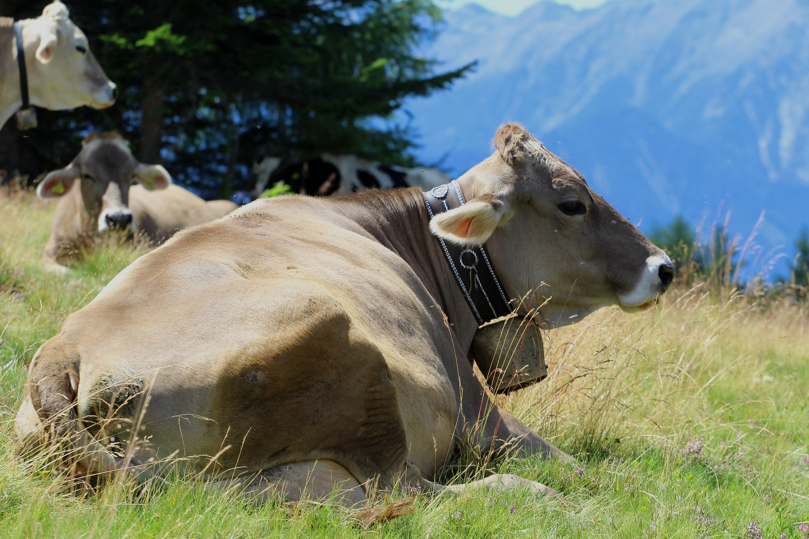 Einfach mal ein bisschen chillen....