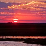 Einfach mal ein kitschiger Sonnenuntergang am Chobe