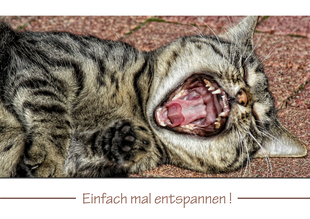 ~ Einfach mal entspannen!~