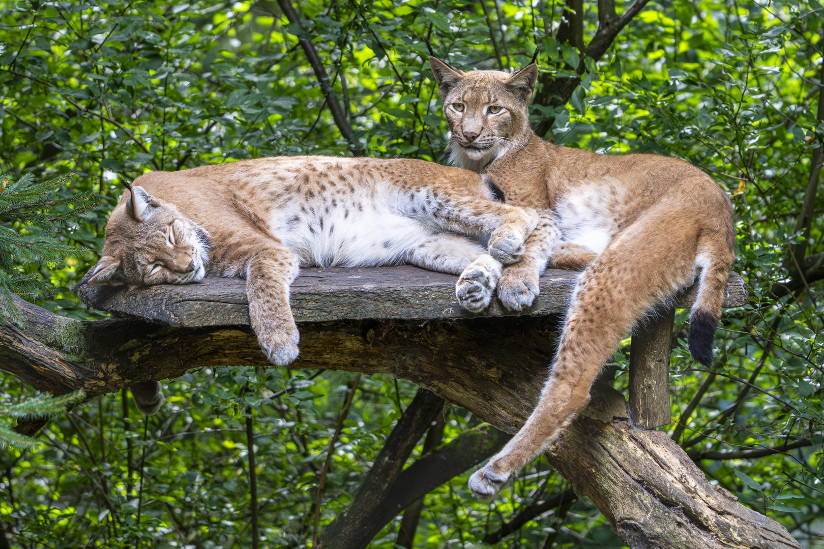 Einfach mal entspannen.....