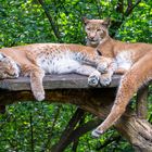 Einfach mal entspannen.....