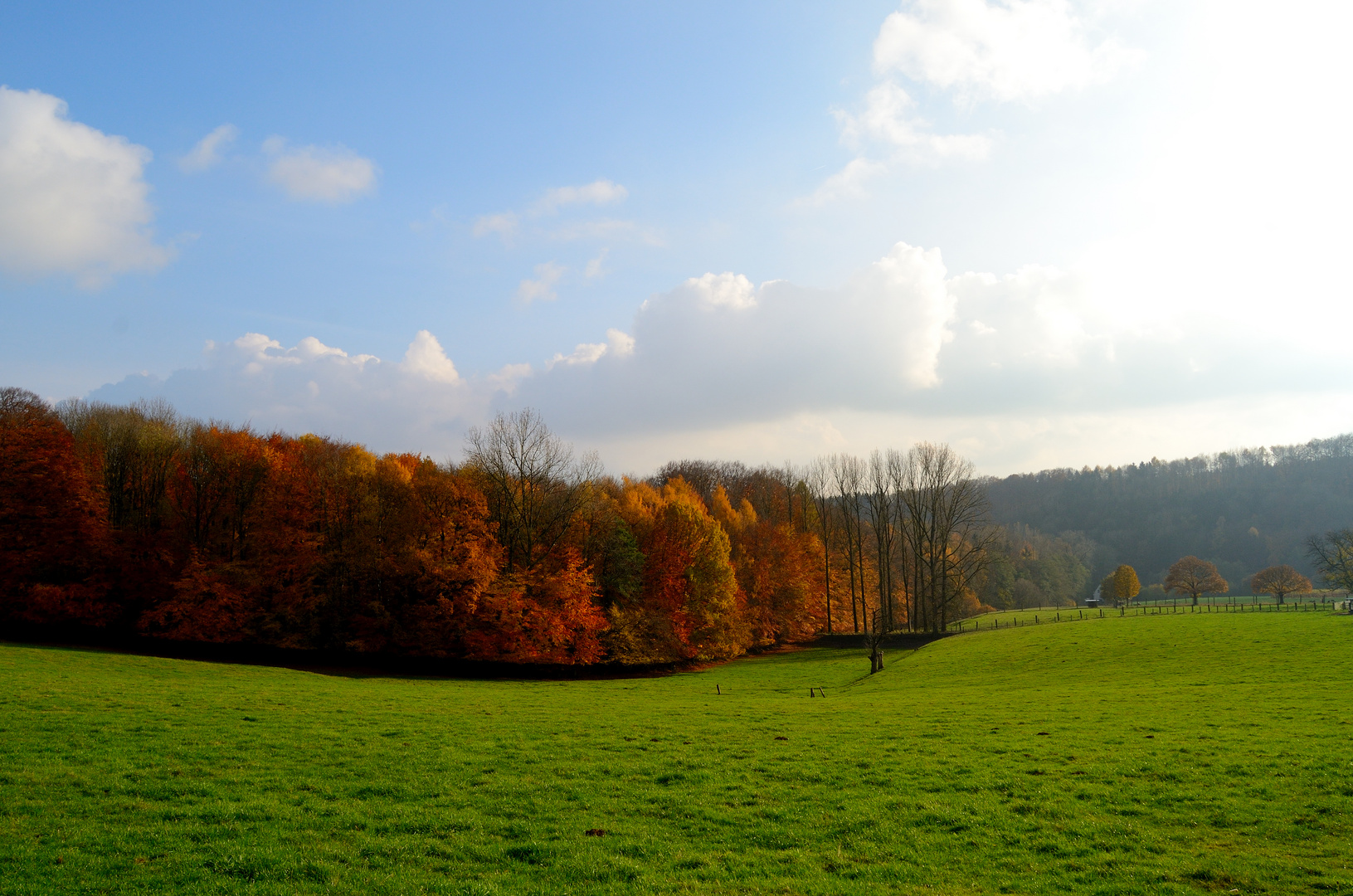 einfach mal Herbst