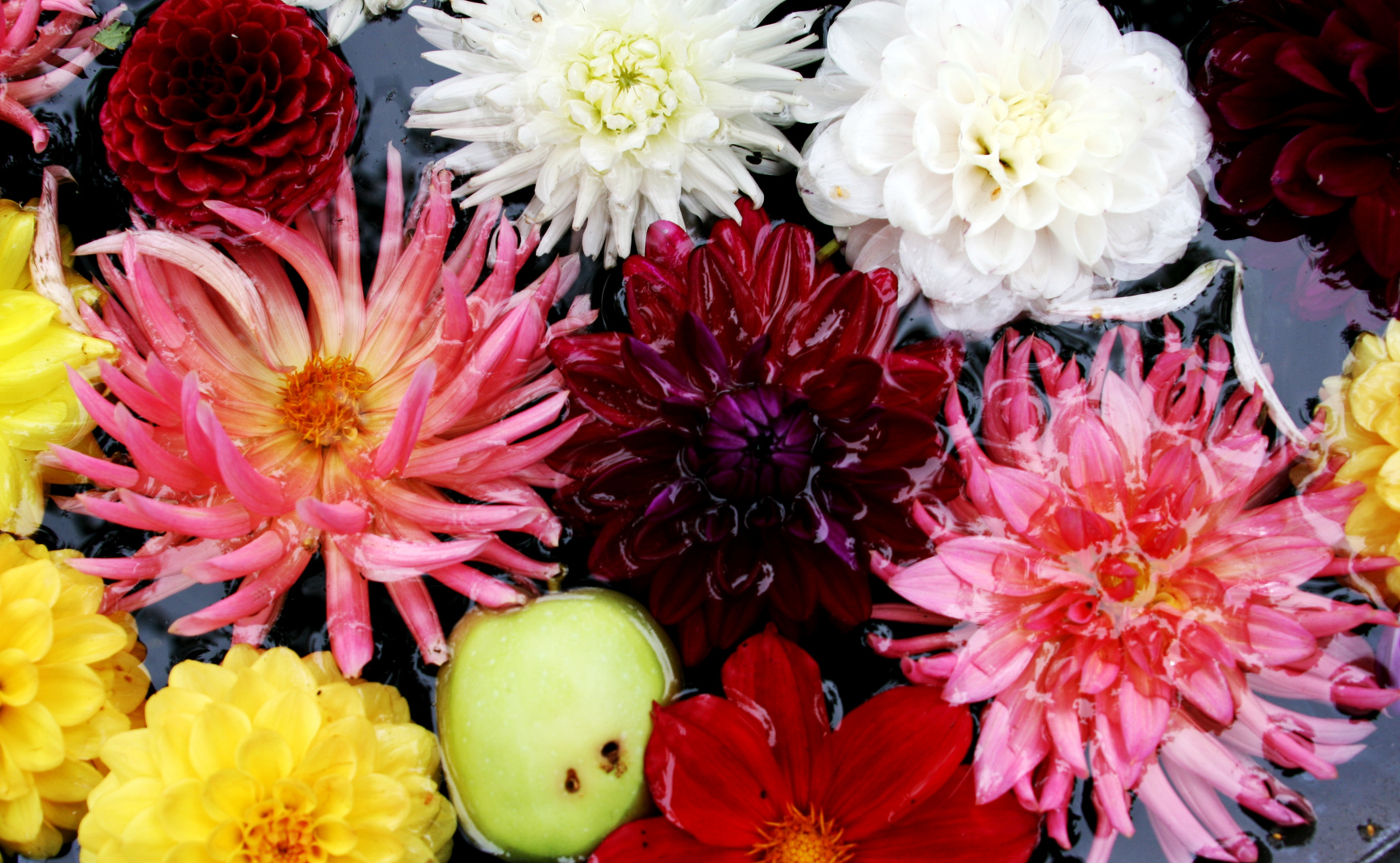 einfach mal nur schöne Blumen in diesem sch... Sommer Foto & Bild