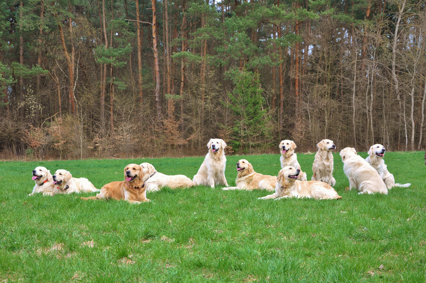 Einfach mal paar Freunde treffen.........