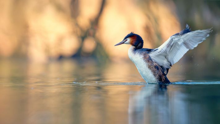 einfach mal Strecken..