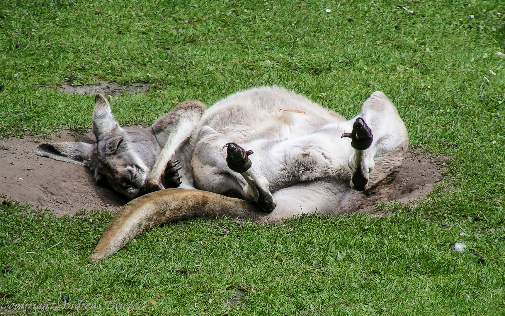 Einfach mal zum Wochenende relaxen!