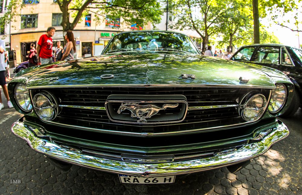 Einfach Mustang