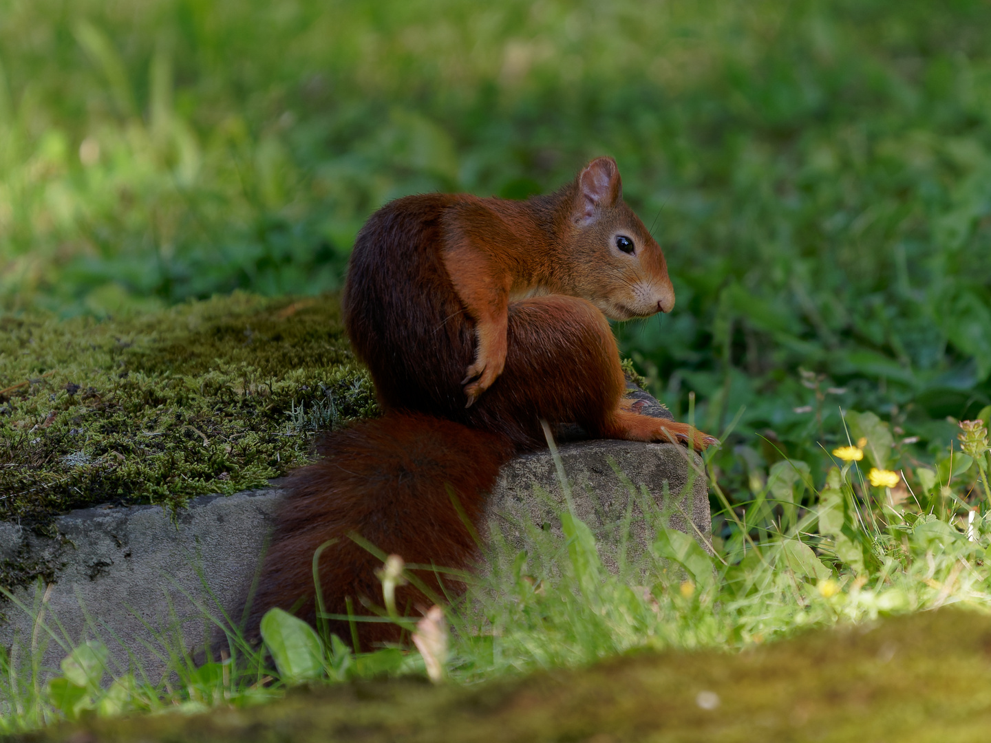 Einfach nur chillen