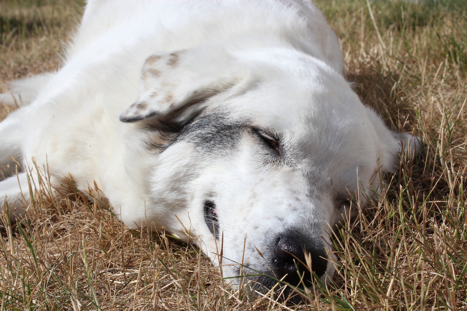 einfach nur chillen !