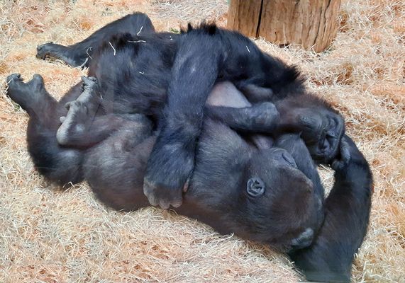 einfach nur chillen,