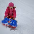 Einfach nur den Winter genießen I