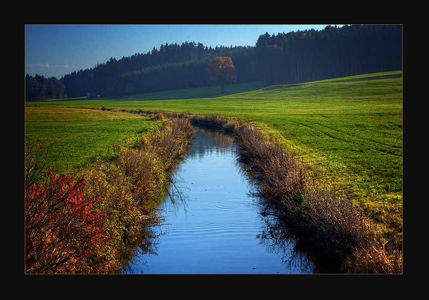 Einfach nur ein Bach