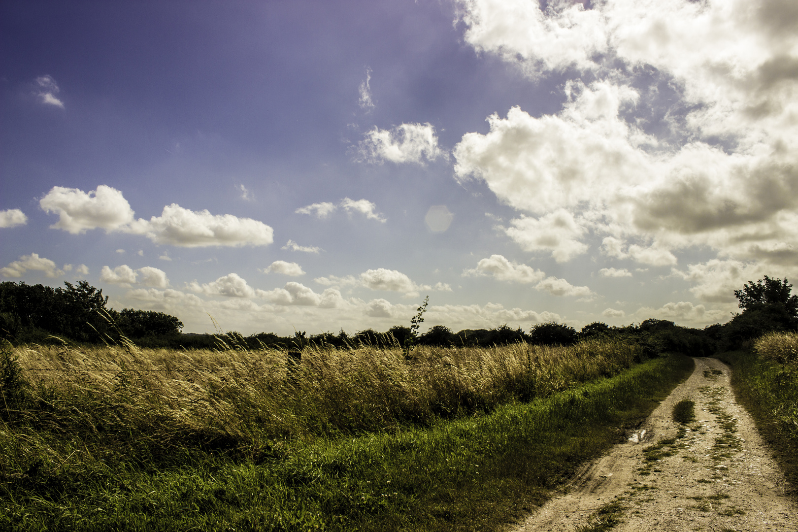 Einfach nur ein Feldweg