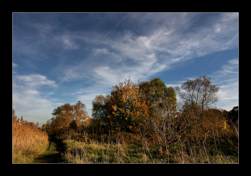 einfach nur ein Herbstbild