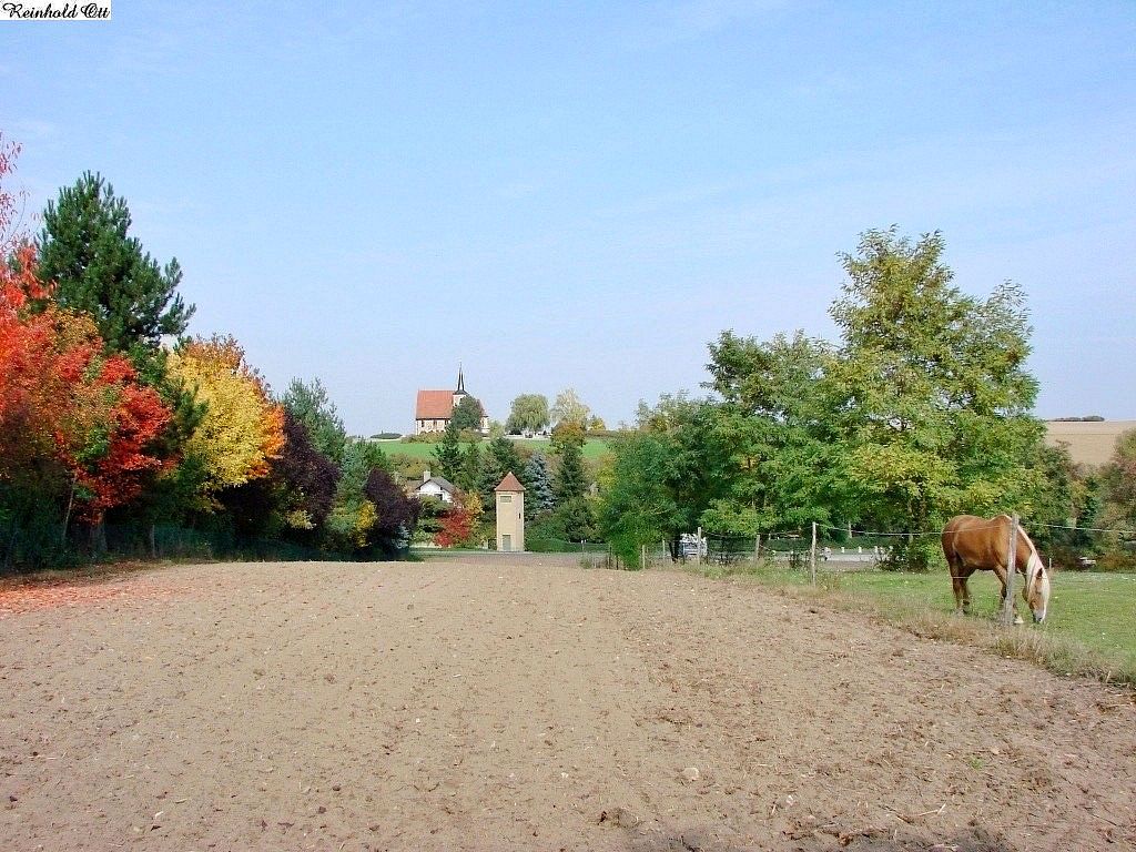 Einfach nur ein Herbstfoto.