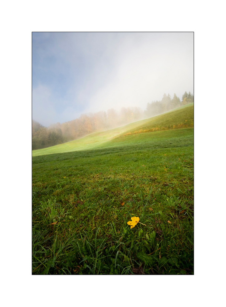 einfach nur ein Herbstmotiv