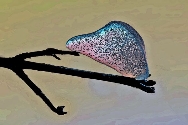 Einfach nur ein kleines Stück Eis! - Rien que de la glace...