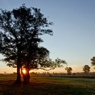 Einfach nur ein Sonnenaufgang