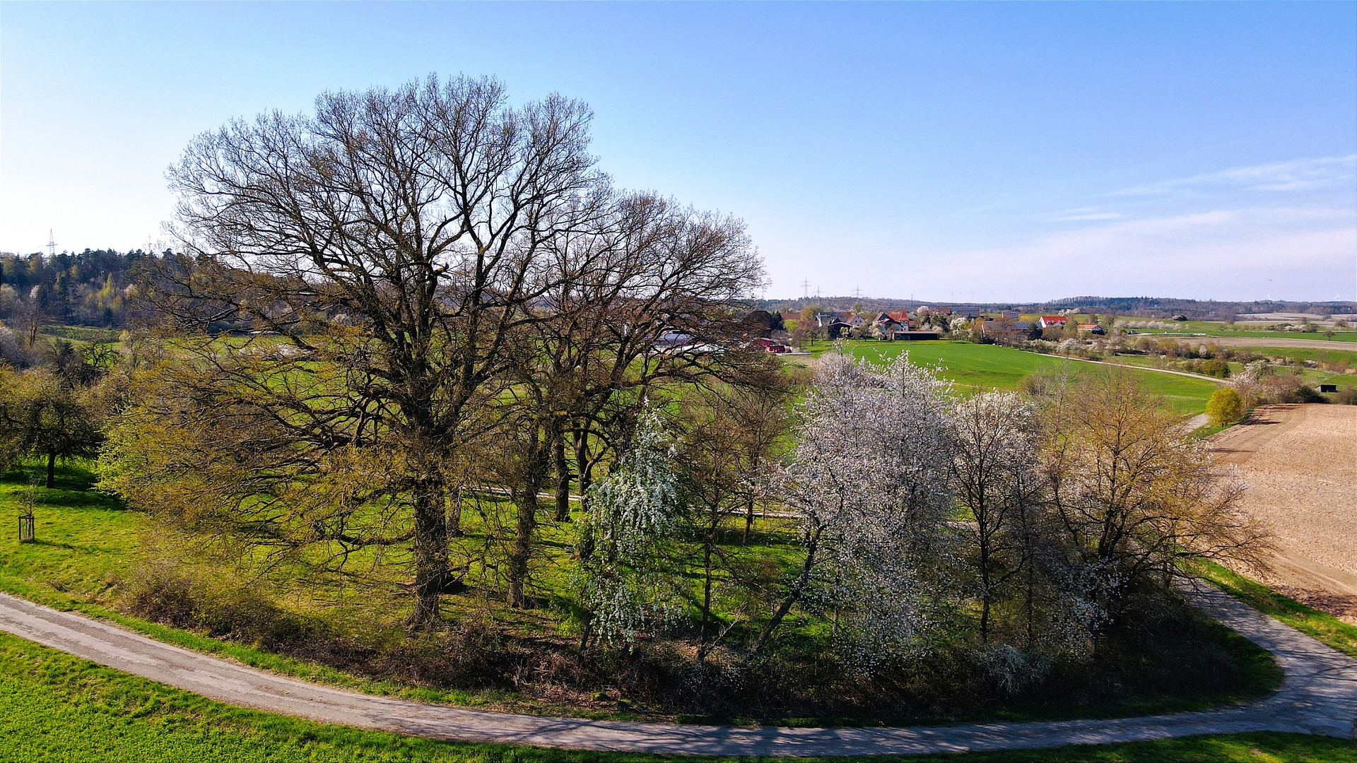 Einfach nur Frühling