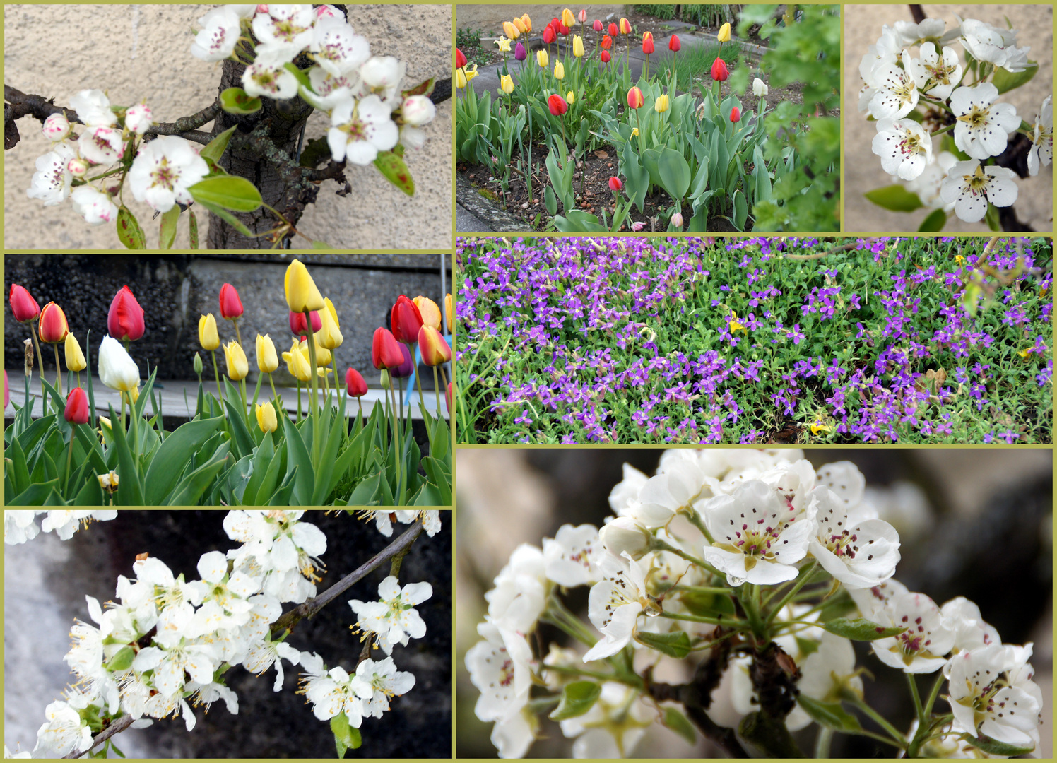 Einfach nur Frühling