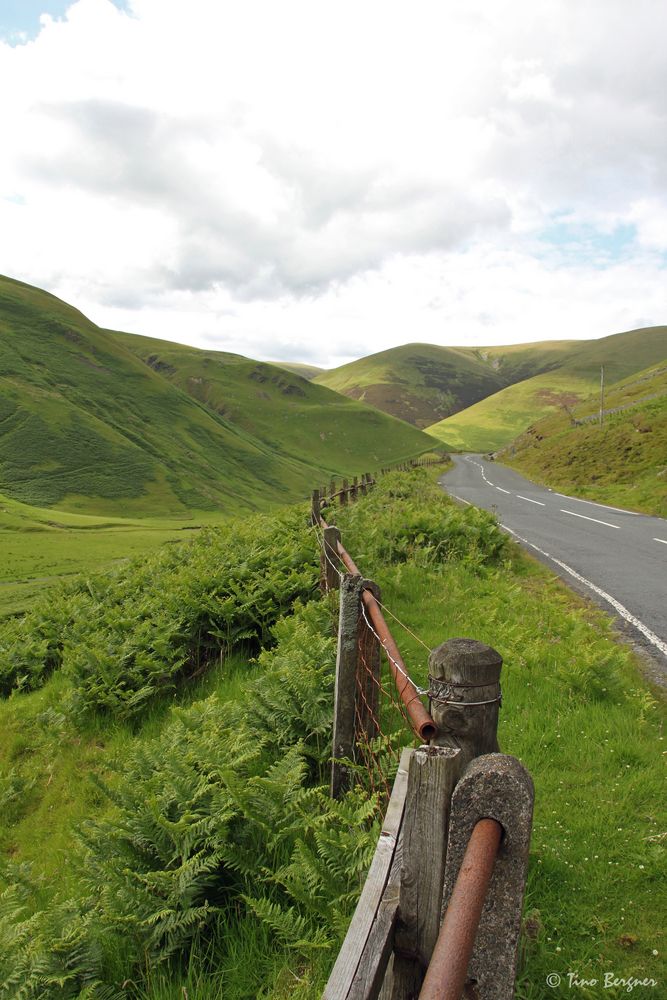 Einfach nur Grün und wunderschön!!! (Straße zum Drumlanrig Castle)