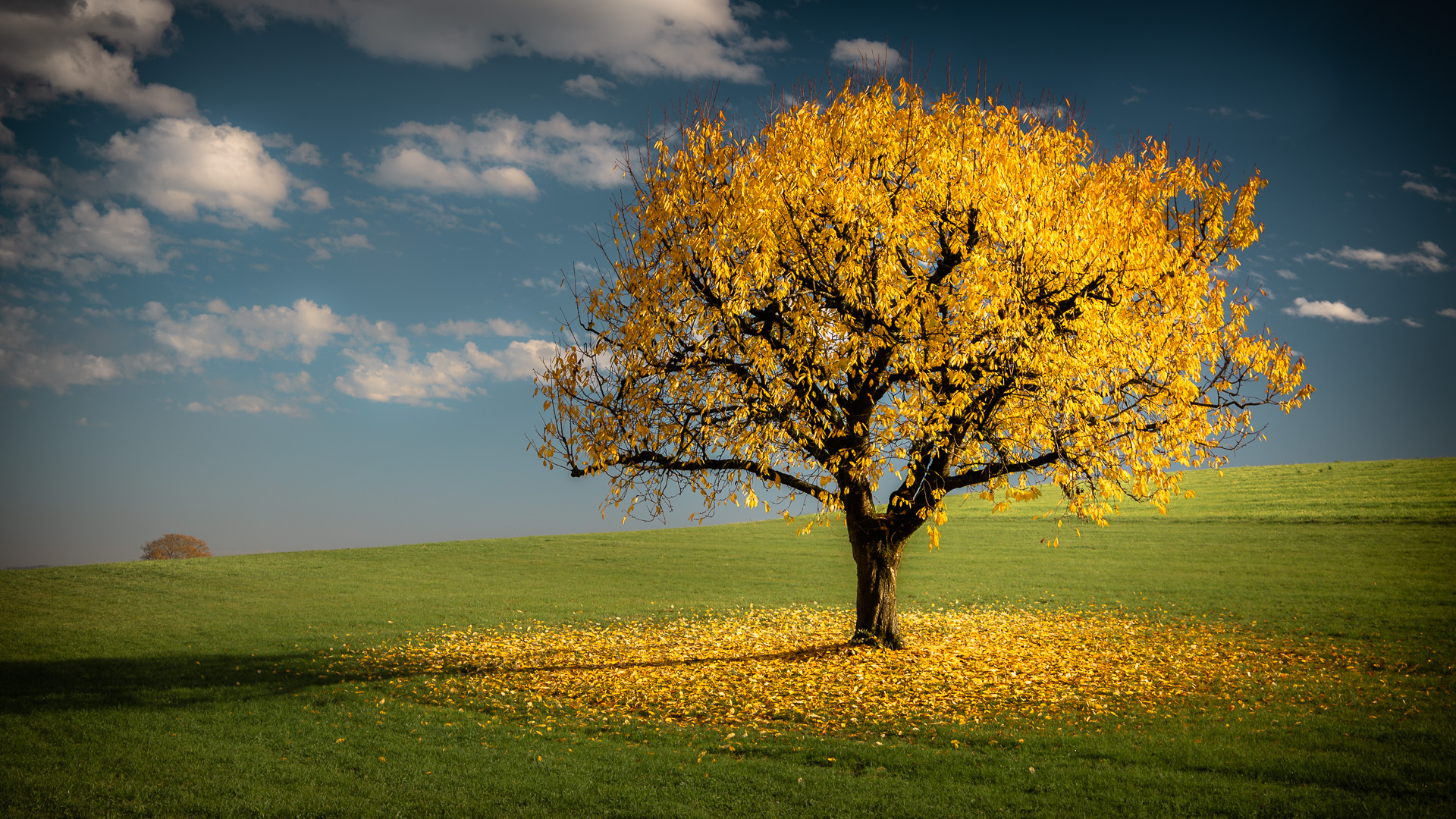 Einfach nur Herbst