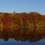 Einfach nur Herbst ...