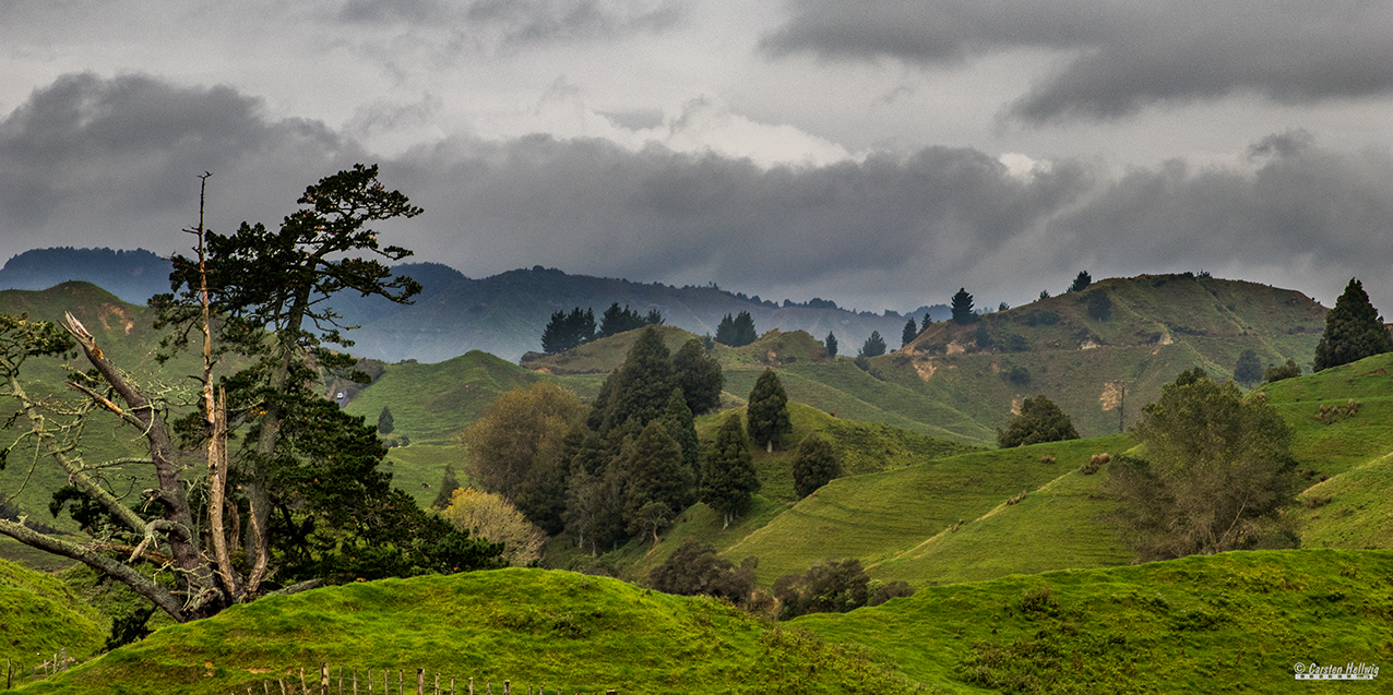 Einfach nur Landschaft