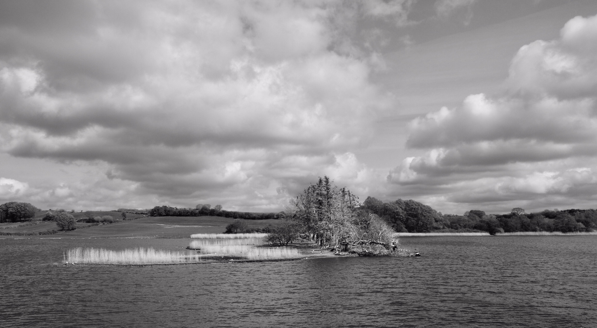 Einfach nur Landschaft auf der Schlei