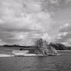 Einfach nur Landschaft auf der Schlei