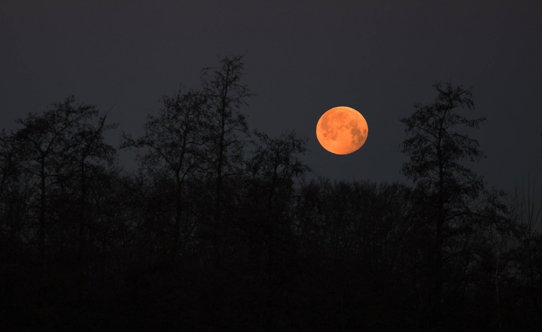 einfach nur: Mond