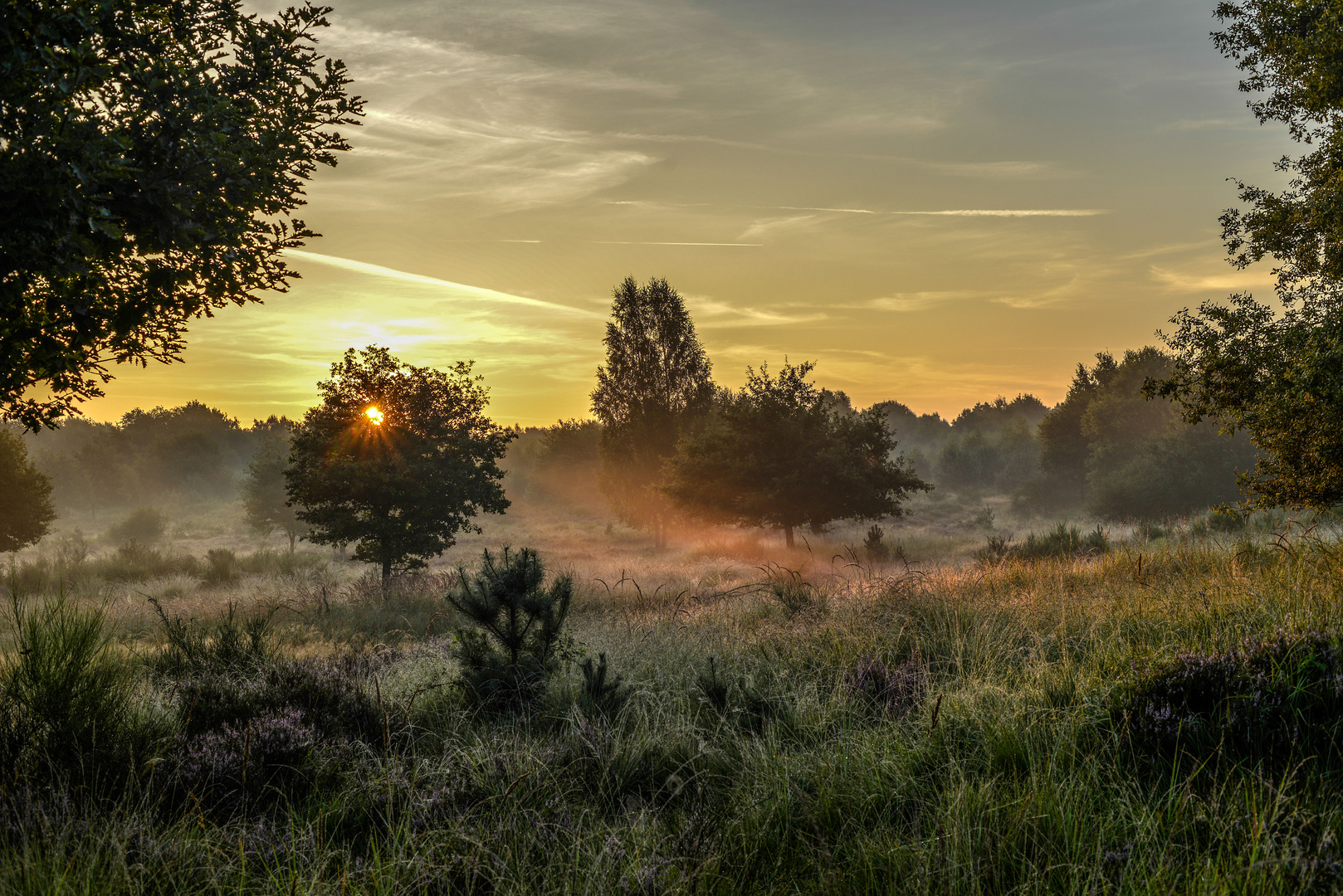 Einfach nur Morgenlicht