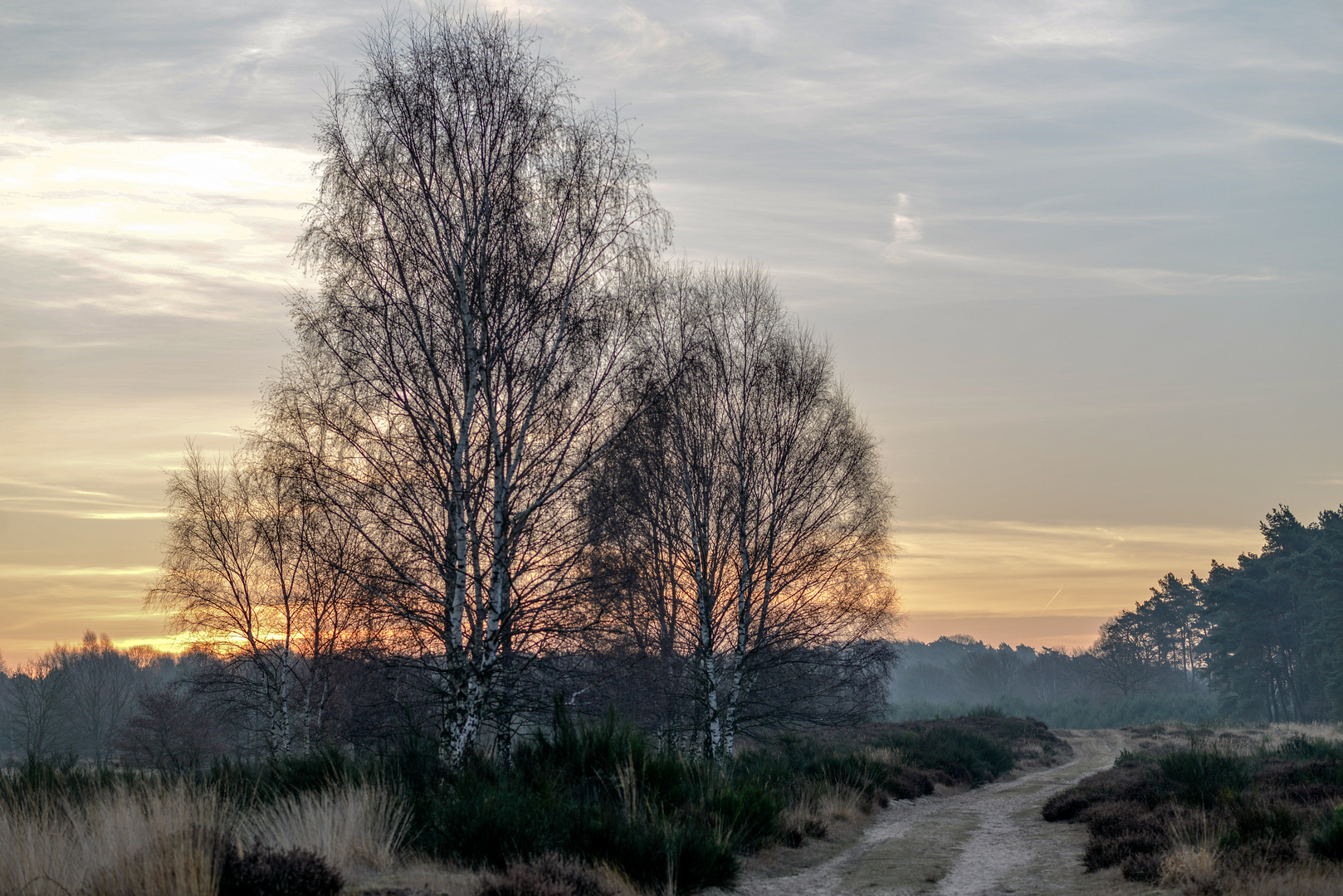 Einfach nur Morgensonne..