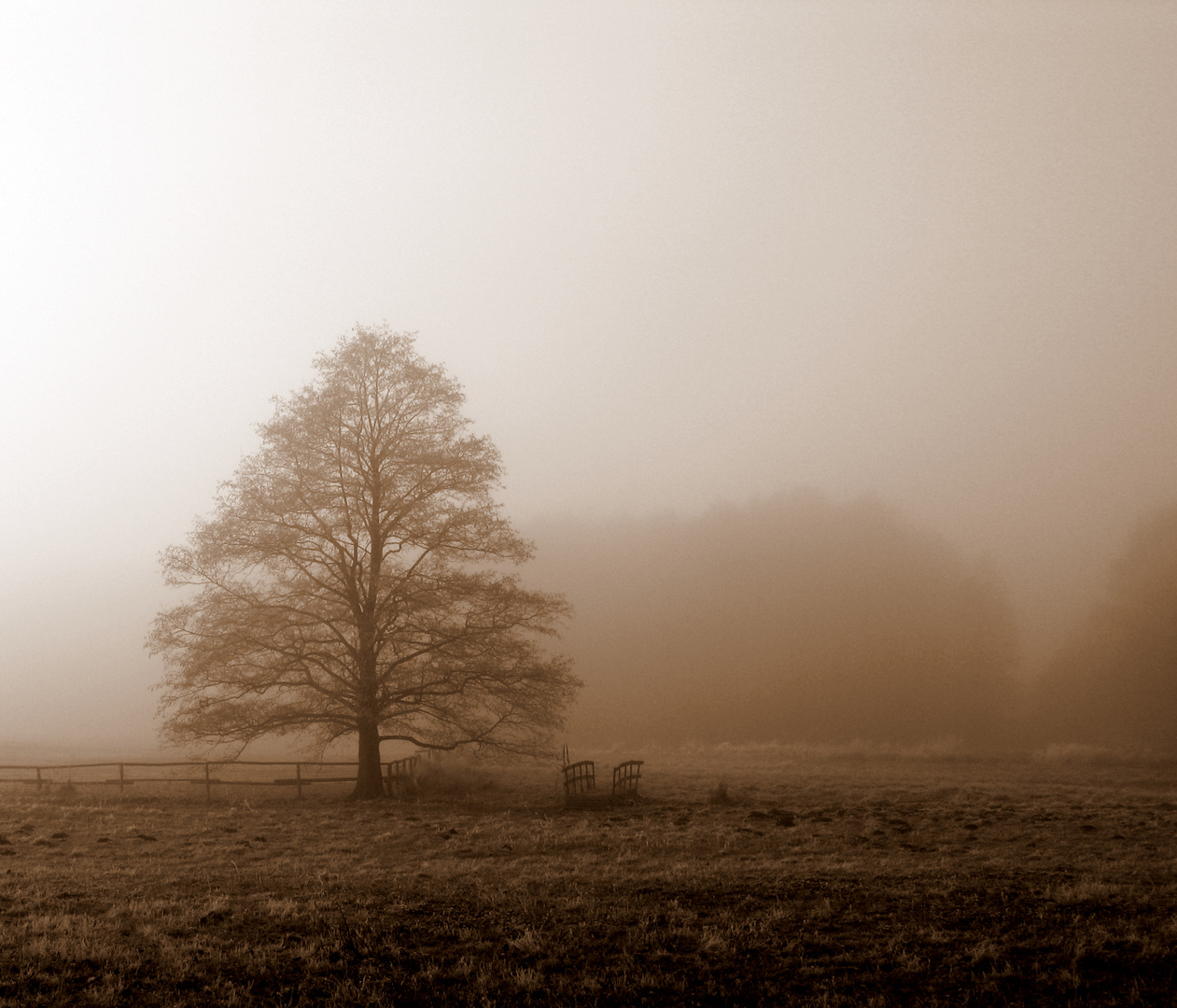 einfach nur nebel nicht carmen nebel sonder nebel