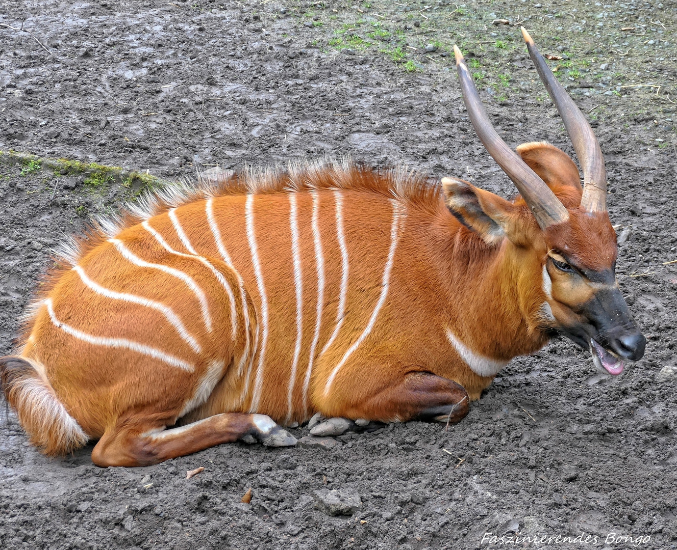 Einfach nur schön, was die Natur zaubert.